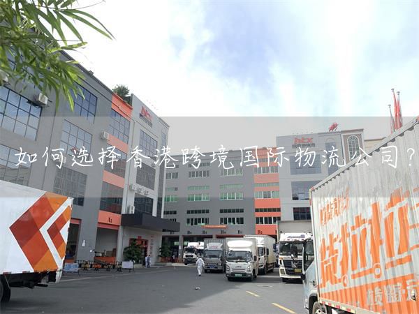 如何选择香港跨境国际物流公司?