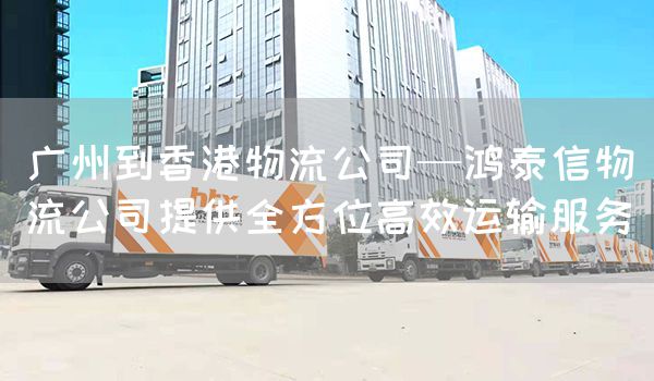 广州到香港物流公司—鸿泰信物流公司提供全方位高效运输服务(图1)