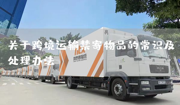 关于跨境运输禁寄物品的常识及处理办法(图1)